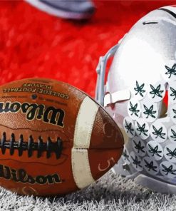 Ohio State Buckeyes Helmet And Ball paint by number