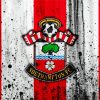 Southampton Football Club Logo paint by number