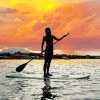 Stand Up Paddle Silhouette paint by number