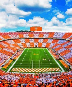 Tennessee Volunteers Football Match paint by number