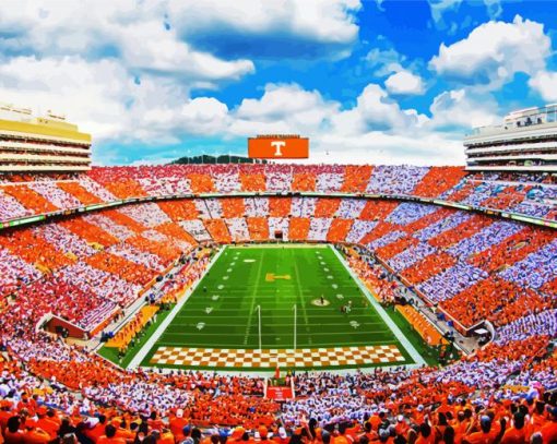 Tennessee Volunteers Football Match paint by number