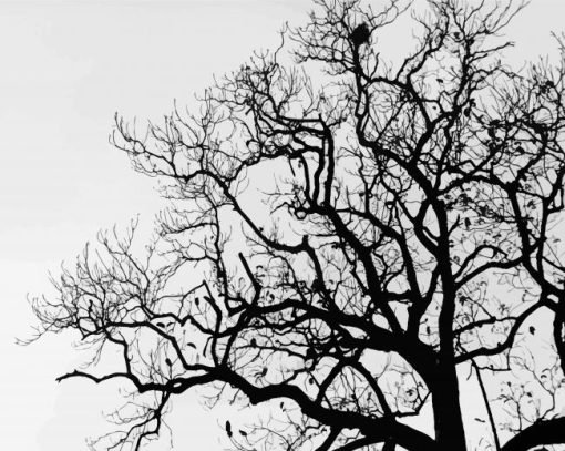 Aesthetic Black And White Tree paint by number