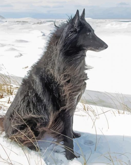 Black Ice Wolf In Snow paint by number