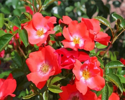 Blooming Coral Flowers paint by number