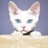 Blue Eyes Devon Rex Cat Head paint by number