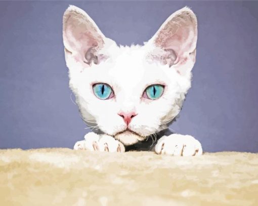 Blue Eyes Devon Rex Cat Head paint by number