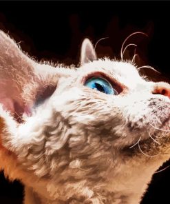 Blue Eyes Devon Rex Cat paint by number