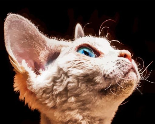 Blue Eyes Devon Rex Cat paint by number