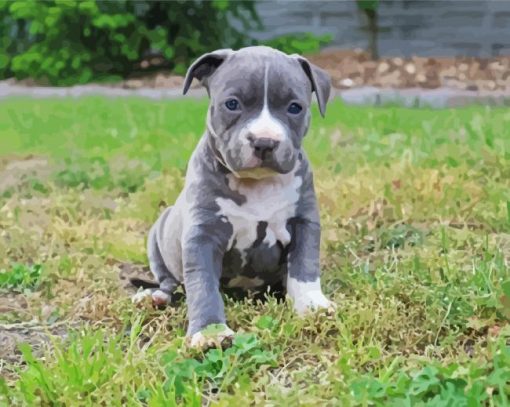 Blue Staffie paint by number