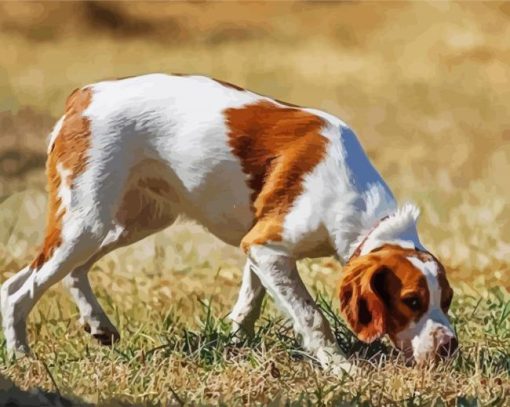 Dog Sniffing The Ground paint by number