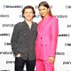 Tom Holland Actor And Zendaya paint by number