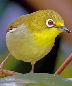 Wonderful Ring Eyed Bird paint by number