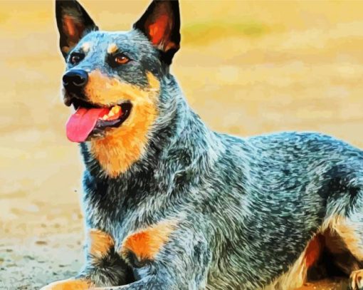 Aesthetic Blue Heeler Dog paint by number