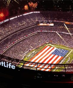 Aesthetic Metlife NY Giants Stadium paint by number