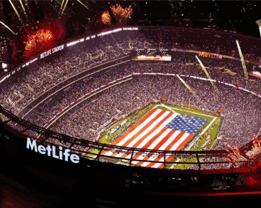 Aesthetic Metlife NY Giants Stadium paint by number