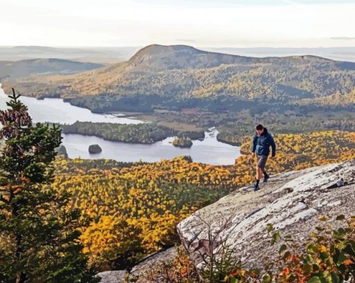 Appalachian Trail Conservancy paint by number