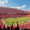 Arrowhead Stadium paint by number