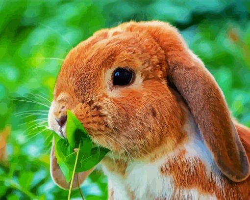 Beautiful Mini Lop paint by number