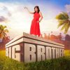 Big Brother Tv Show Poster Paint by number