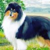 Black Rough Collie paint by number