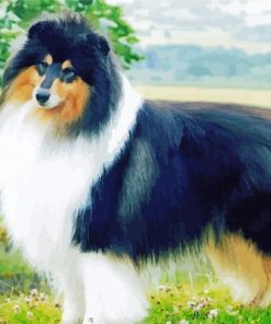 Black Rough Collie paint by number