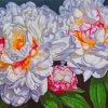 Blooming Peonies paint by number