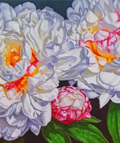 Blooming Peonies paint by number