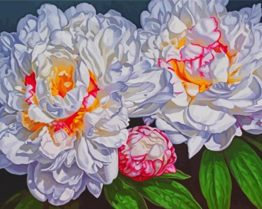 Blooming Peonies paint by number