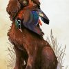 Boykin Spaniel Hunting Bird paint by number