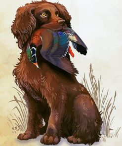 Boykin Spaniel Hunting Bird paint by number