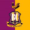 Bradford City Logo paint by number