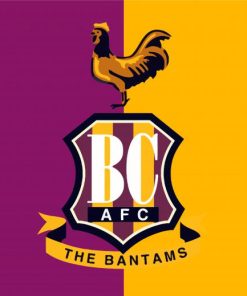 Bradford City Logo paint by number