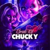 Bride Of Chucky Poster paint by number