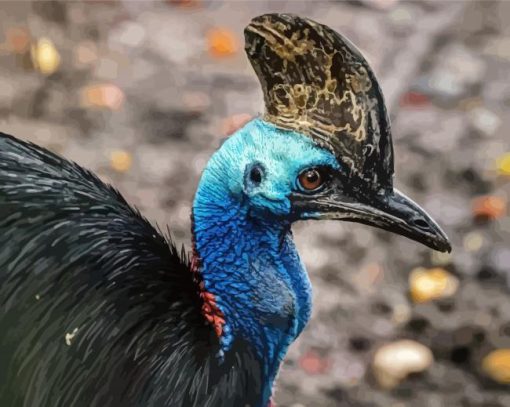 Cassowary Bird paint by number