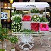 Chanel Flower Cart paint by number