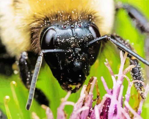 Close Up Bumble Bee Insect paint by number