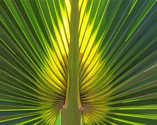 Close Up Palm Frond paint by number