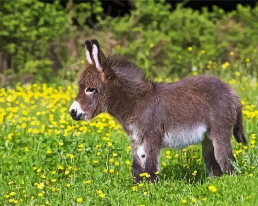 Cute Mini Donkey paint by number