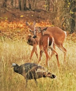 Deers With Turkey paint by number