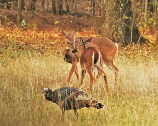 Deers With Turkey paint by number