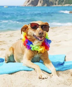 Dog On Beach paint by number