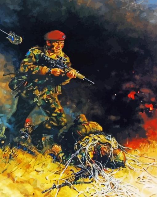 Falklands War Military paint by number