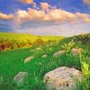 Flint Hills Landscape paint by number