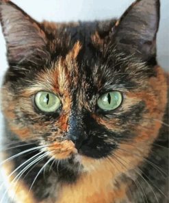 Green Eyes Tortoiseshell paint by number