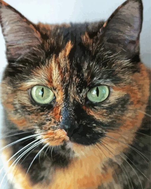 Green Eyes Tortoiseshell paint by number