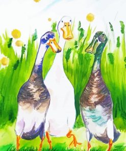 Indian Runner Duck Art paint by number