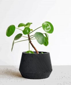 Minimalist Plant In Black Pot paint by number