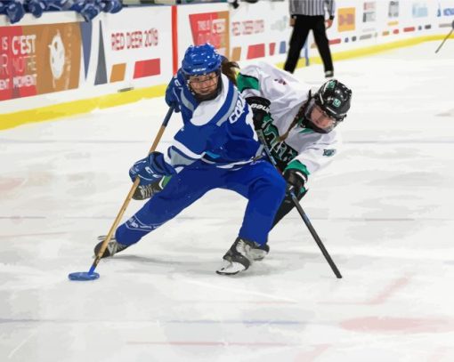 Ringette Women Players paint by number