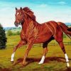 Secretariat Horse Art paint by number