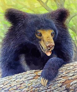 Sloth Bear Art paint by number